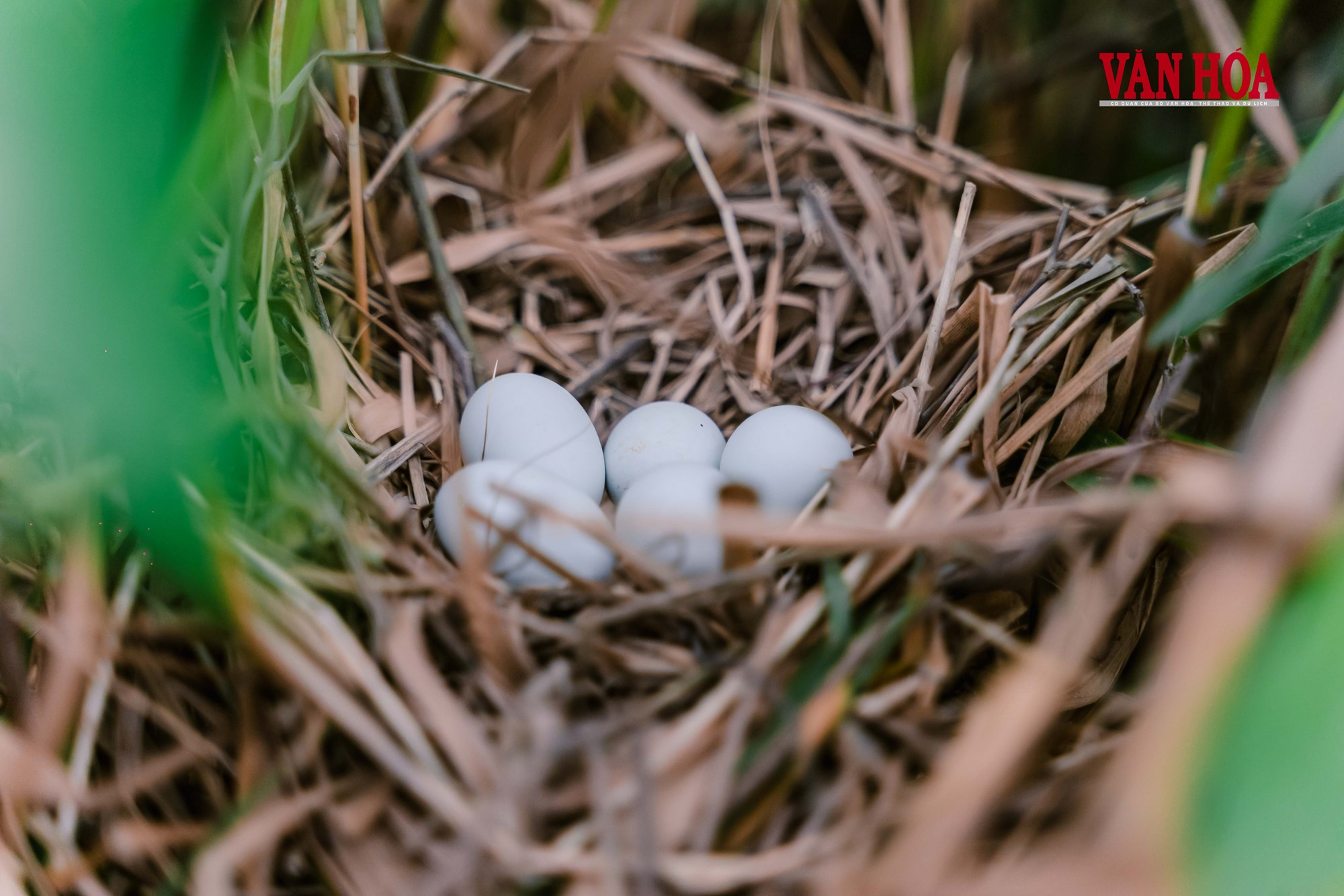 Từ ‘tử địa’ chim trời đến điểm hẹn du lịch trải nghiệm - ảnh 6