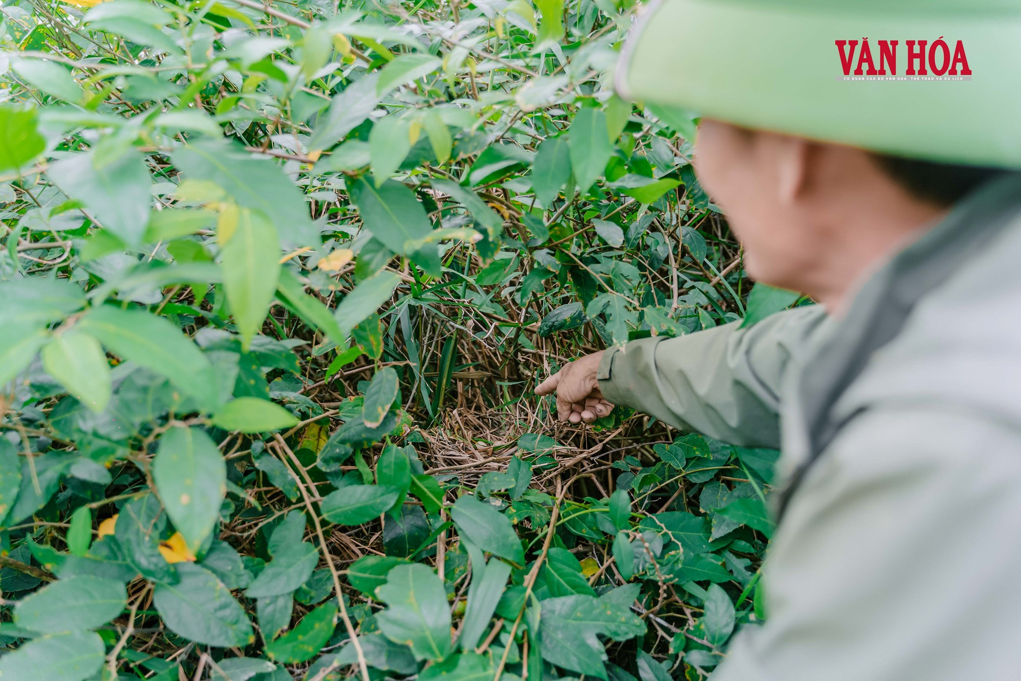 Từ ‘tử địa’ chim trời đến điểm hẹn du lịch trải nghiệm - ảnh 5