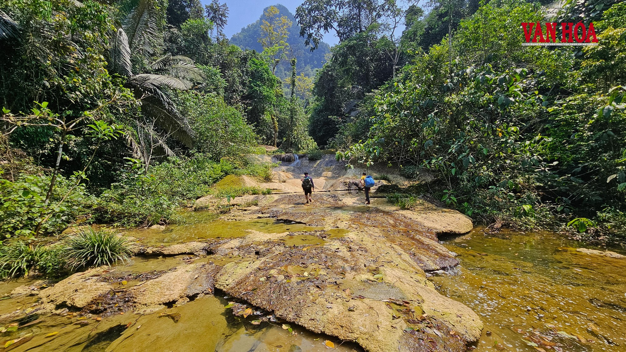 Bí ẩn dưới lòng đất Vườn quốc gia Phong Nha - Kẻ Bàng - ảnh 8