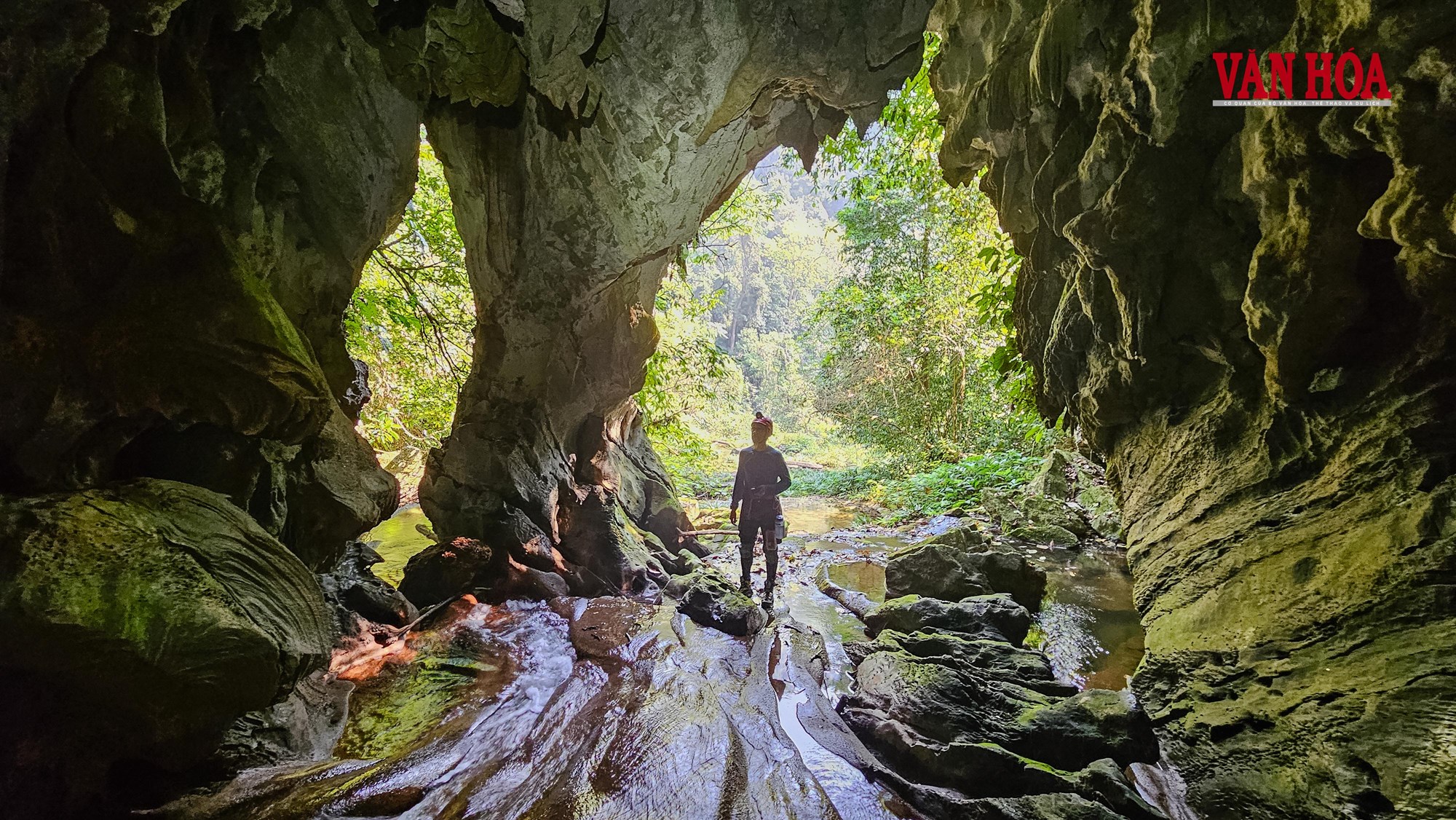 Bí ẩn dưới lòng đất Vườn quốc gia Phong Nha - Kẻ Bàng - ảnh 9