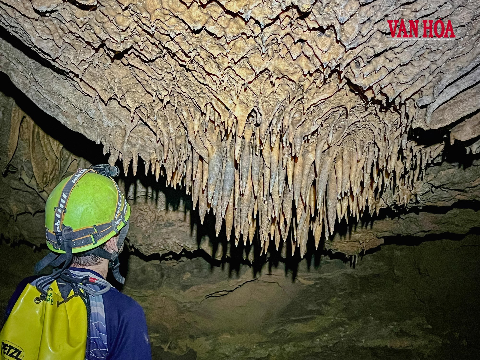 Bí ẩn dưới lòng đất Vườn quốc gia Phong Nha - Kẻ Bàng - ảnh 17