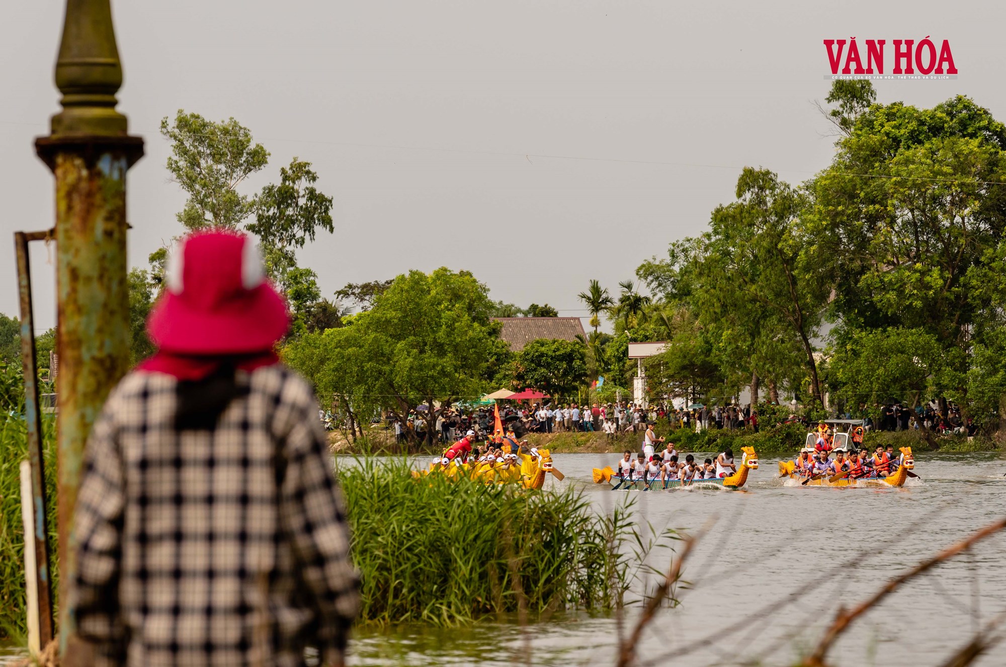 Nhịp chèo trên dòng sông thống nhất - ảnh 12
