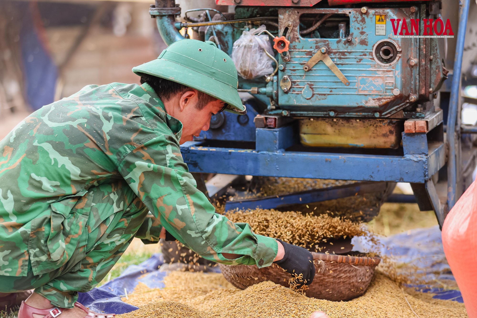 Mùa vàng nơi biên giới - ảnh 10