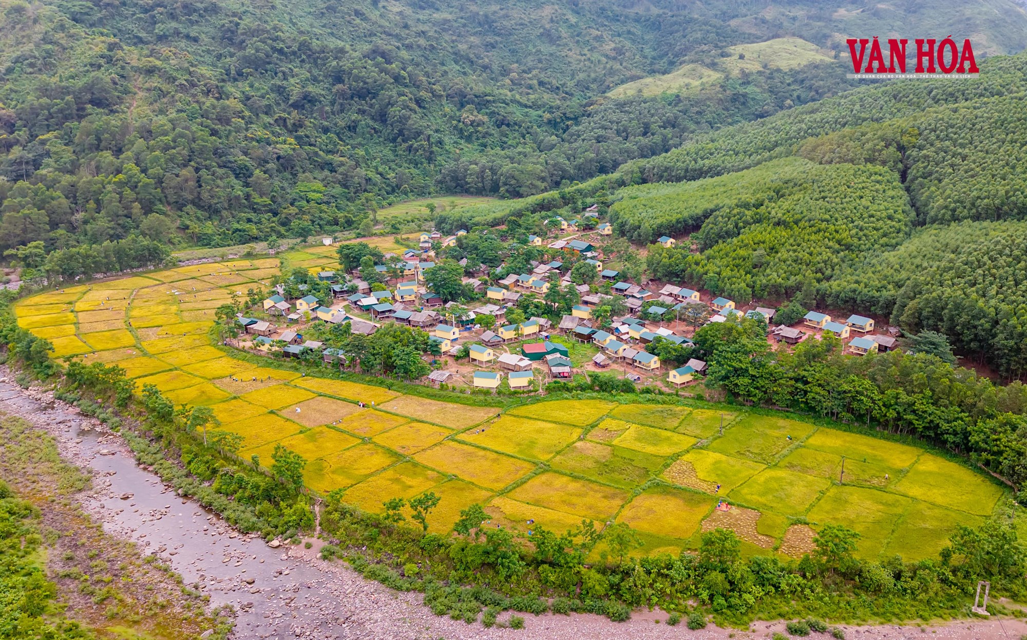 Mùa vàng nơi biên giới - ảnh 1