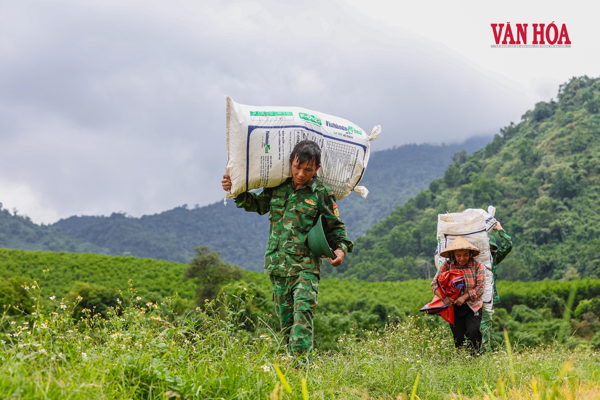 Mùa vàng nơi biên giới - ảnh 6