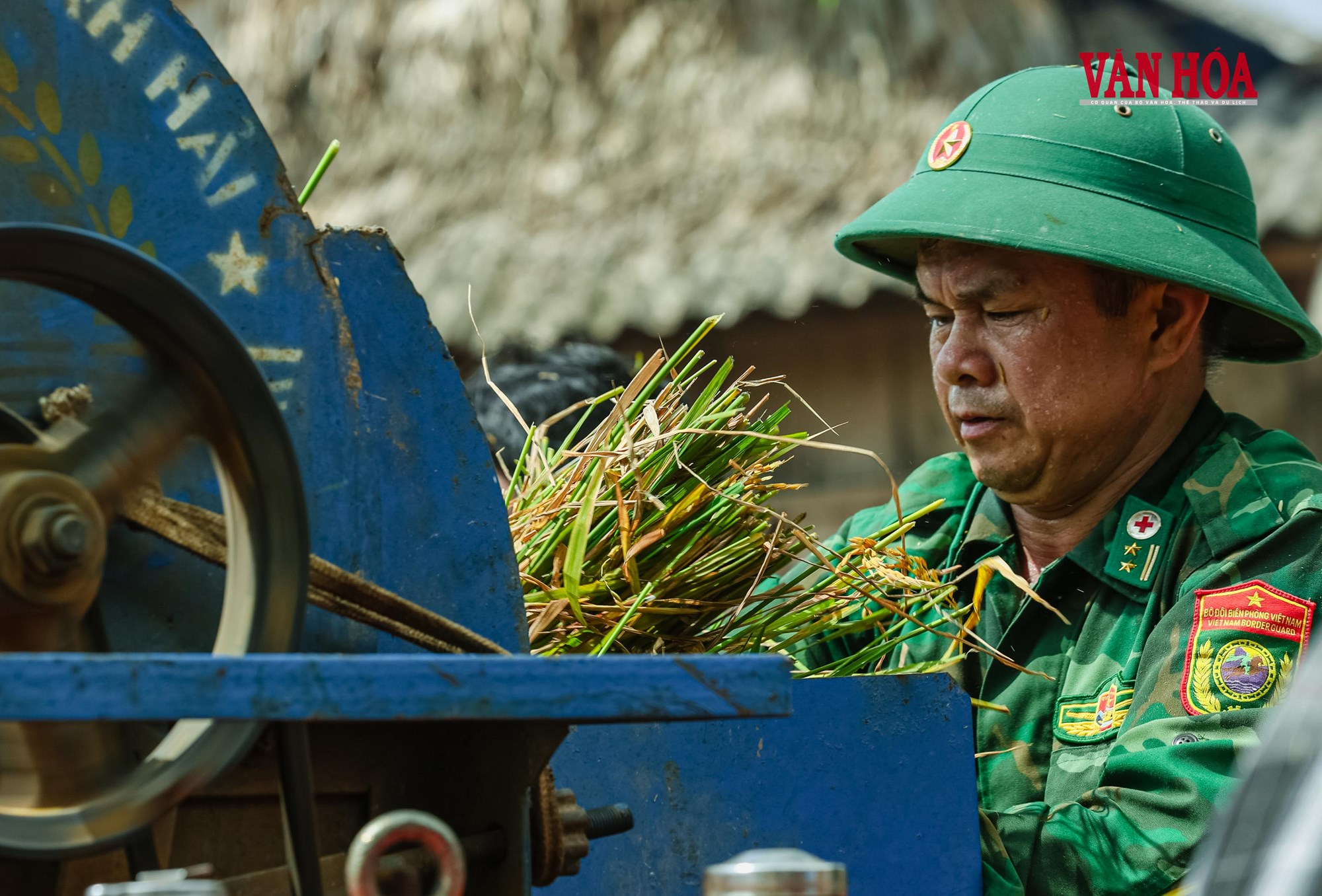 Mùa vàng nơi biên giới - ảnh 9