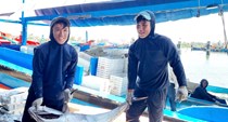 Tàu cá Quảng Ngãi bội thu hải sản, ngư dân phấn khởi sau chuyến biển xa