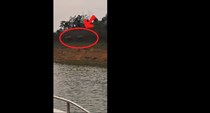 Hai cá thể voi châu Á bất ngờ xuất hiện tại Hà Tĩnh