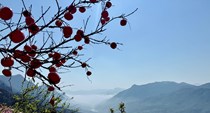 Quảng bá du lịch Việt Nam trên biển quảng cáo tấm lớn, biển quảng cáo điện tử, phương tiện giao thông công cộng