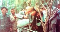 Khởi nguồn phong trào “Tết trồng cây” 