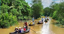 Du lịch Vĩnh Long: Trái tim xanh của Đồng bằng sông Cửu Long