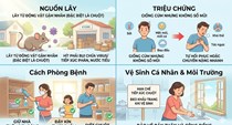 Làm gì để phòng ngừa Virus Hanta? Những khuyến cáo quan trọng từ Bộ Y tế