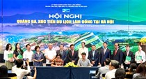 Lâm Đồng: Đẩy mạnh sản phẩm du lịch “Biển, hoa và đại ngàn”