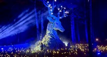 Đêm Đà Lạt “thức giấc” với vũ trụ ánh sáng kỳ ảo tại Delight Park