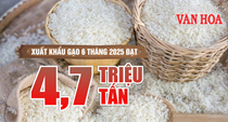 (Infographic) Xuất khẩu gạo 6 tháng năm 2025 đạt 4,7 triệu tấn