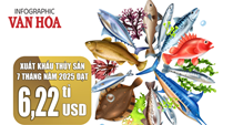 (Infographic) Xuất khẩu thủy sản Việt Nam tăng tốc, đạt 6,22 tỉ USD sau 7 tháng