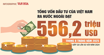 (Infographic) 8 tháng 2025: Đầu tư ra nước ngoài của Việt Nam đạt hơn nửa tỉ USD