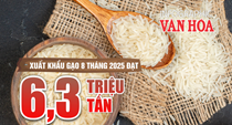 (Infographic) Xuất khẩu gạo Việt Nam 8 tháng 2025: Lượng tăng, giá trị giảm