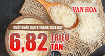 (Infographic) Xuất khẩu gạo Việt Nam giảm giá trị 20% trong 9 tháng năm 2025