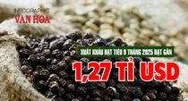 (Infographic) Giá hồ tiêu tăng mạnh, kim ngạch xuất khẩu gần 1,27 tỉ USD trong 9 tháng