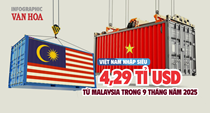 (Infographic) Việt Nam nhập siêu 4,29 tỉ USD từ Malaysia trong 9 tháng năm 2025