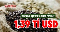 (Infographic) Xuất khẩu hạt tiêu lập kỷ lục mới: Kim ngạch 1,39 tỉ USD trong 10 tháng