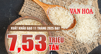 (Infographic) 11 tháng 2025: Xuất khẩu gạo giảm sâu, kim ngạch lao dốc 27,4%