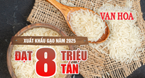 (Infographic) Xuất khẩu gạo tháng 12 khởi sắc, nhưng cả năm 2025 vẫn giảm so với năm trước