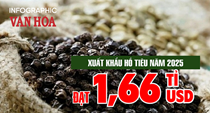 (Infographic) Xuất khẩu hồ tiêu năm 2025 đạt 1,66 tỉ USD nhờ giá tăng mạnh