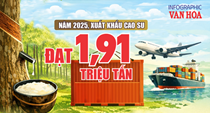 (Infographic) Xuất khẩu cao su năm 2025 giảm về lượng, kim ngạch vẫn đạt 3,33 tỉ USD
