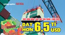 (Infographic) Xuất khẩu nông lâm thủy sản tháng 1.2026 đạt hơn 6,5 tỉ USD