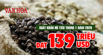 (Infographic) Xuất khẩu hồ tiêu tháng 1.2026 đạt 139 triệu USD, tăng 66,2%