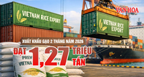 (Infographic) Xuất khẩu gạo 2 tháng đầu năm 2026 đạt 1,27 triệu tấn, giá trị giảm gần 12%