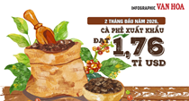 (Infographic) Xuất khẩu cà phê Việt Nam đạt 1,76 tỉ USD sau 2 tháng, lượng tăng nhưng giá giảm