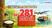 (Infographic) Xuất khẩu cao su Việt Nam đạt hơn 503 triệu USD sau 2 tháng