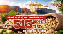 Xuất khẩu hạt điều Việt Nam 2 tháng đầu năm 2026 đạt 513 triệu USD
