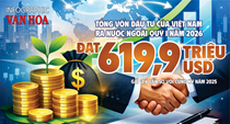 Việt Nam rót gần 620 triệu USD ra nước ngoài: Dòng vốn tăng gấp 2,6 lần chỉ sau 3 tháng