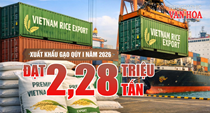 Xuất khẩu gạo quý I.2026 đạt 2,28 triệu tấn nhưng giá giảm mạnh, kim ngạch sụt giảm