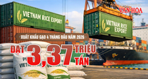 Xuất khẩu gạo 4 tháng đầu năm 2026 đạt 3,37 triệu tấn, thu về 1,58 tỉ USD