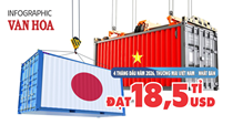 Thương mại Việt - Nhật cán mốc 18,5 tỉ USD, Việt Nam xuất siêu hơn nửa tỉ USD