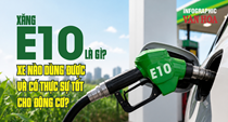 Xăng E10 là gì? Xe nào dùng được và có thực sự tốt cho động cơ?