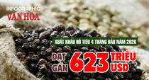 Xuất khẩu hồ tiêu 4 tháng đầu năm 2026 đạt gần 623 triệu USD