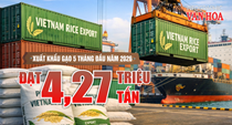 Xuất khẩu gạo 5 tháng đầu năm 2026 đạt 4,27 triệu tấn, thu về 2 tỉ USD