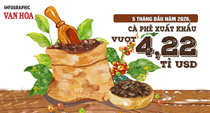 Xuất khẩu cà phê 5 tháng đầu năm 2026 vượt 4,22 tỉ USD, Đức dẫn đầu thị trường