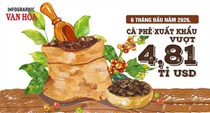 Xuất khẩu cà phê 6 tháng đầu năm 2026 vượt 4,81 tỉ USD