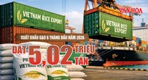 Xuất khẩu gạo Việt Nam 6 tháng đầu năm 2026 đạt 5,02 triệu tấn, thu về 2,38 tỉ USD