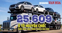 Việt Nam nhập khẩu 25.609 ô tô trong tháng 6, Indonesia dẫn đầu nguồn cung