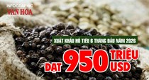 Xuất khẩu hồ tiêu 6 tháng đầu năm 2026 đạt 950 triệu USD, tăng mạnh cả lượng và kim ngạch