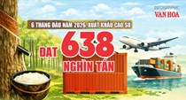 Xuất khẩu cao su 6 tháng đạt 1,22 tỉ USD, thị trường Trung Quốc dẫn đầu