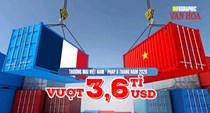 Thương mại Việt Nam - Pháp 6 tháng năm 2026 vượt 3,6 tỉ USD